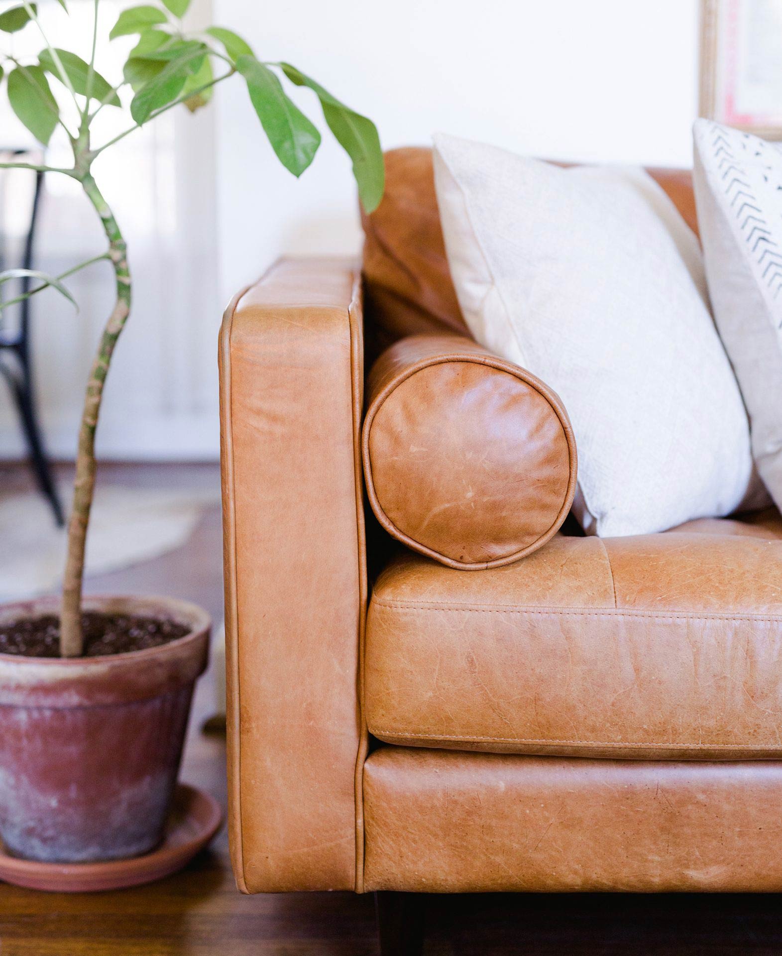 Close-up du canapé en cuir Tan Sven d'Article de Jordana Claudia pour Design Sponge's Sven Tan leather sofa from Jordana Claudia for Design Sponge